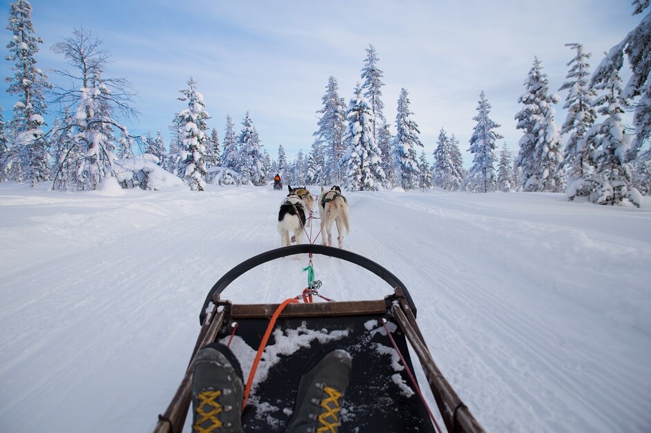 Virtual Tour of The Dog Sledding, Abisko, Sweden