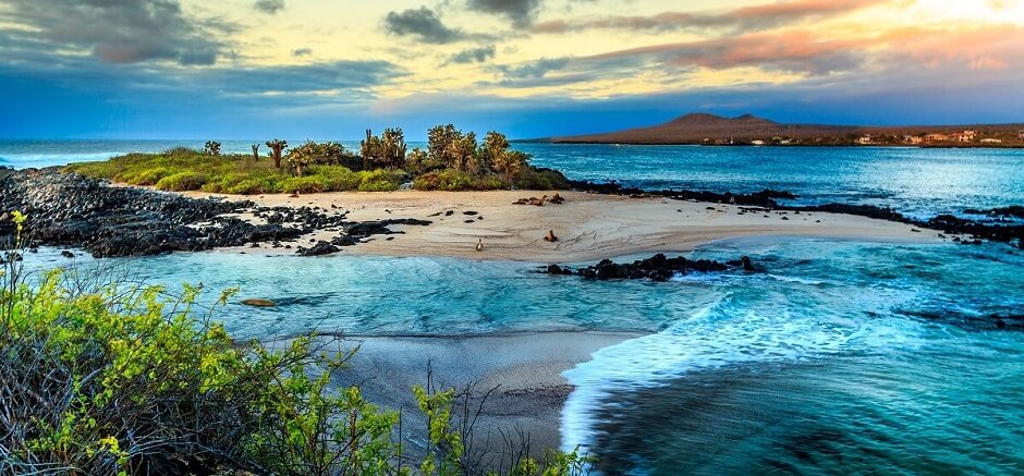 Galapagos Islands Virtual Tour