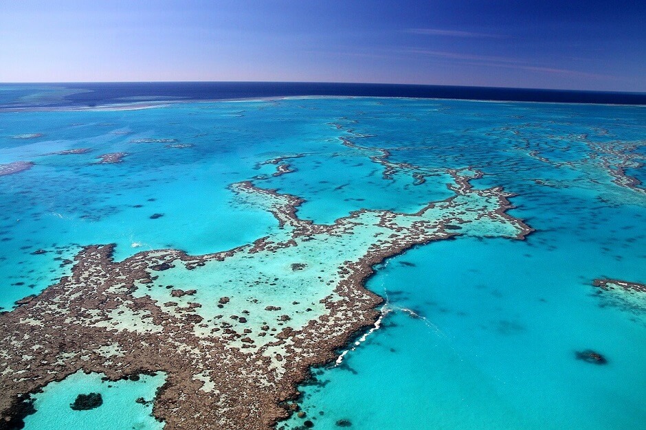 Great Barrier Reef Virtual Tour